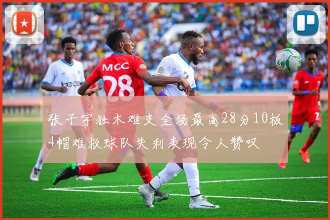 张子宇独木难支全场最高28分10板4帽难救球队失利表现令人赞叹
