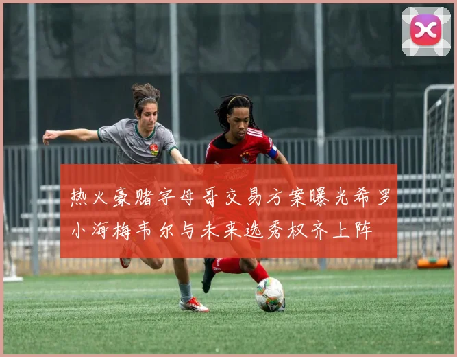 热火豪赌字母哥交易方案曝光希罗小海梅韦尔与未来选秀权齐上阵