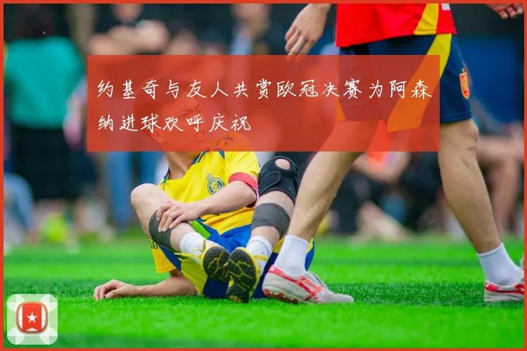 约基奇与友人共赏欧冠决赛为阿森纳进球欢呼庆祝